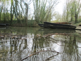 Guirec : Marais Poitevin