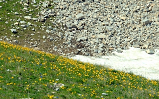 Landevoisin Hubert
