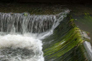 Eau