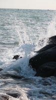 Eau