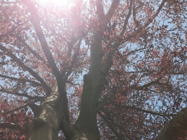 Lumières
