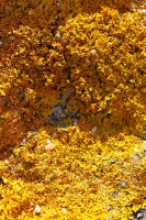 Couleurs