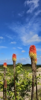 Couleurs