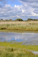 Eau