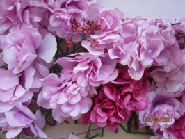 Couleurs