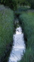 Eau