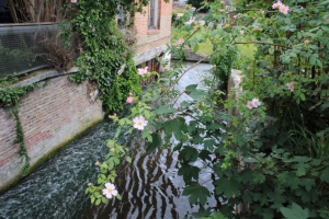 Eau