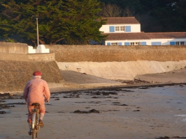 Vie sur l'île d'Yeu (VANBERTEN)