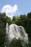 L'Amazone semble être présent dans l'Ain...