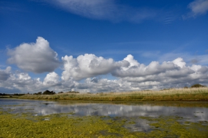 Eau